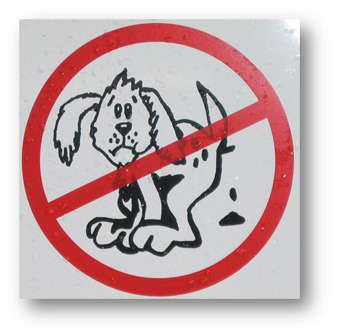 prohibido cacas perros