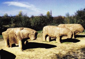 TOROS-CORREGIDA