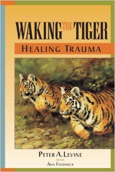 tigre