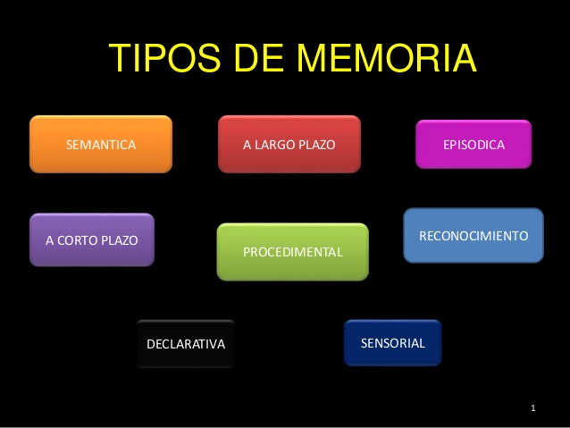 tipos-de-memoria-neuropsicologia-1-638