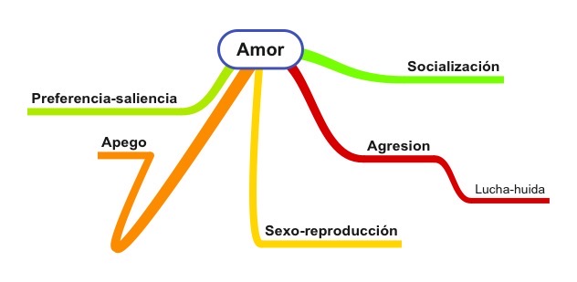 Las tres plataformas del amor
