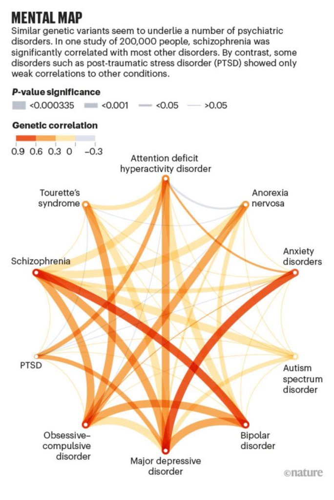 La red neuronal por defecto y los psiquedélicos (V)