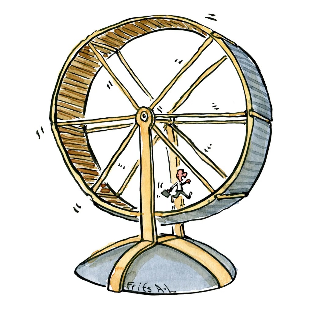 El hamster y la rueda (24)